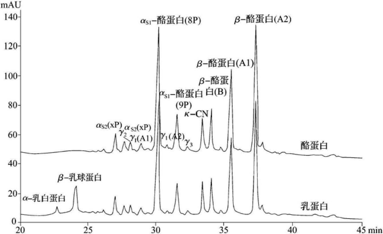 第一節(jié) 電泳儀在乳粉分析與檢測中的應(yīng)用